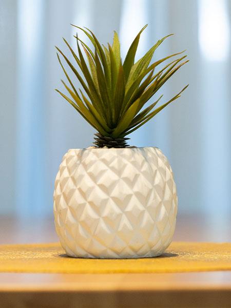 House plant in white pineapple vase